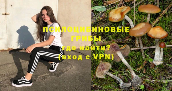 скорость Алексин