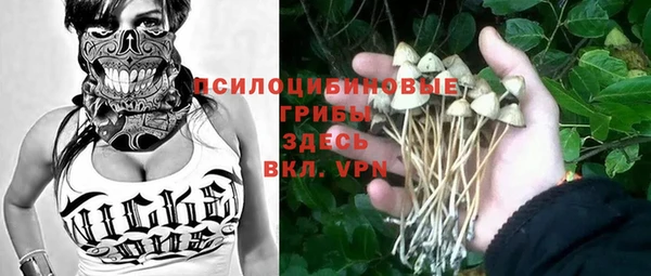 бутират Алзамай